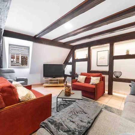 Les Lionceaux, 120M2 A Colmar, Place De Parking Gratuite Εξωτερικό φωτογραφία