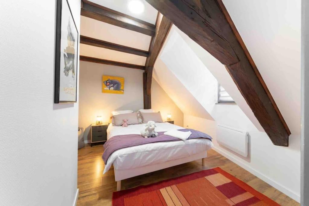 Les Lionceaux, 120M2 A Colmar, Place De Parking Gratuite Εξωτερικό φωτογραφία