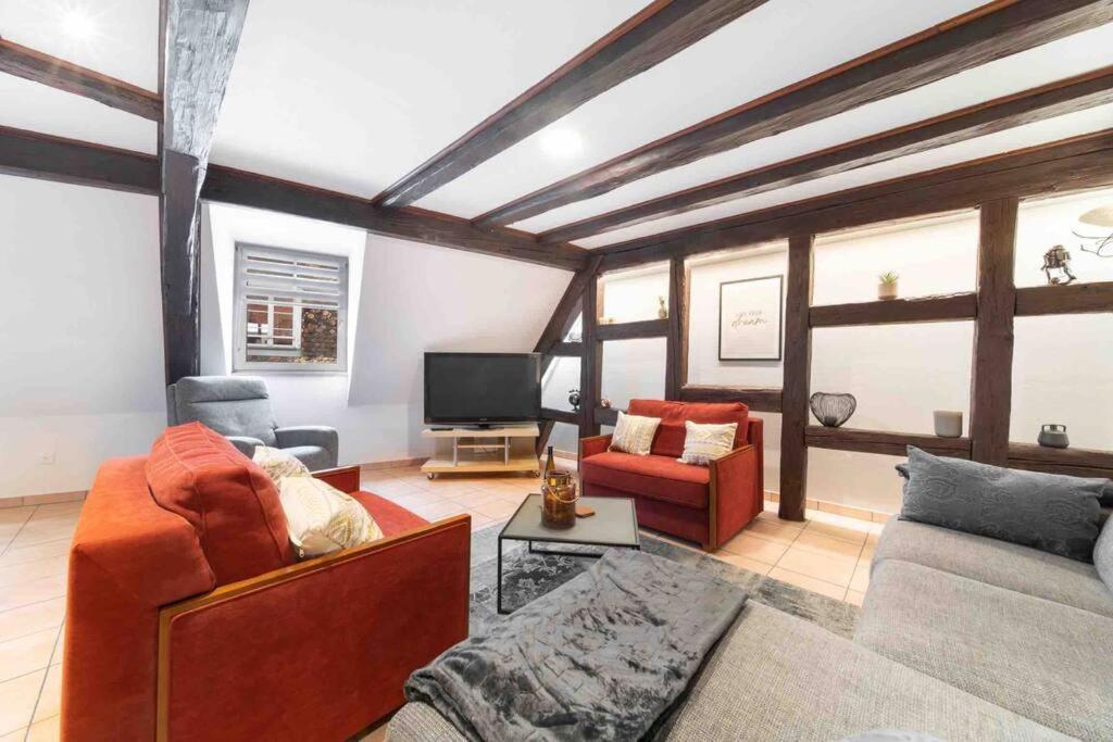 Les Lionceaux, 120M2 A Colmar, Place De Parking Gratuite Εξωτερικό φωτογραφία