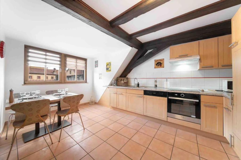 Les Lionceaux, 120M2 A Colmar, Place De Parking Gratuite Εξωτερικό φωτογραφία