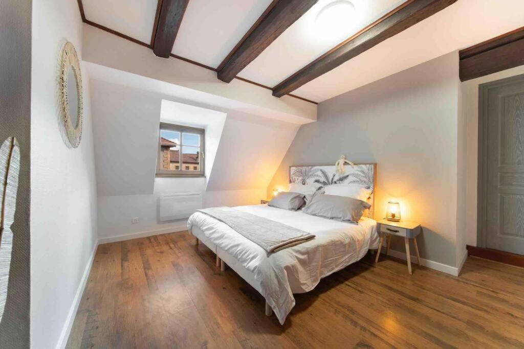 Les Lionceaux, 120M2 A Colmar, Place De Parking Gratuite Εξωτερικό φωτογραφία