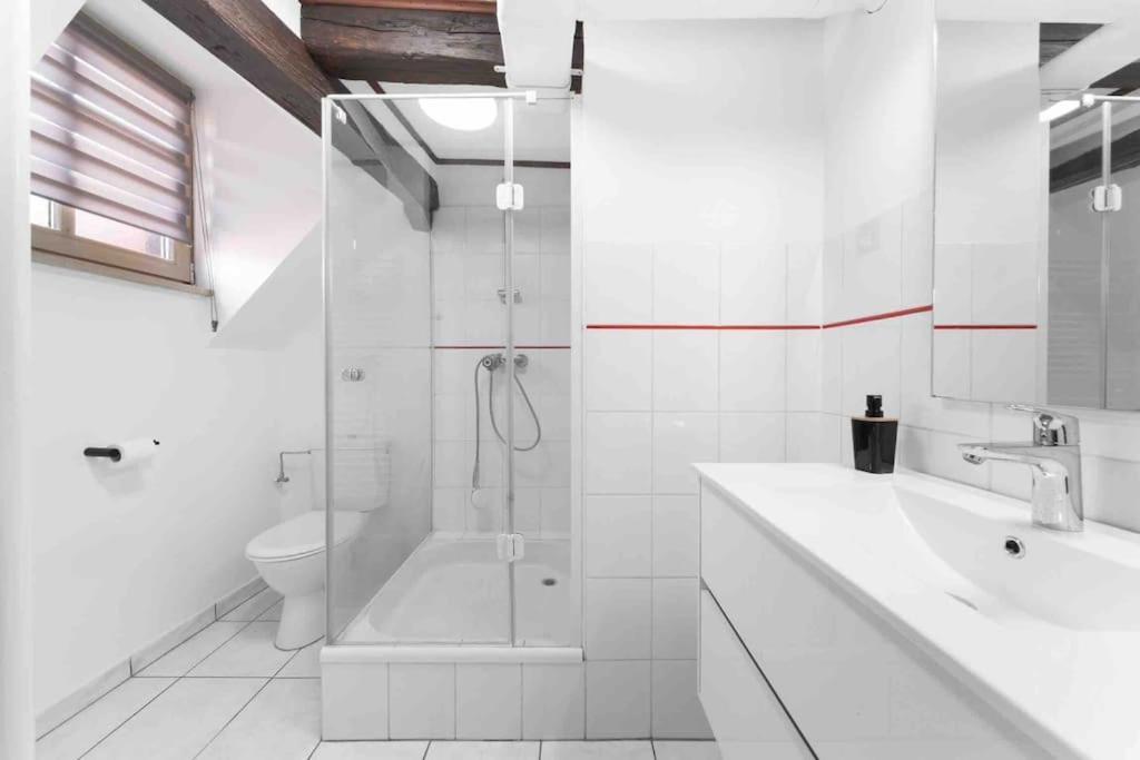 Les Lionceaux, 120M2 A Colmar, Place De Parking Gratuite Εξωτερικό φωτογραφία